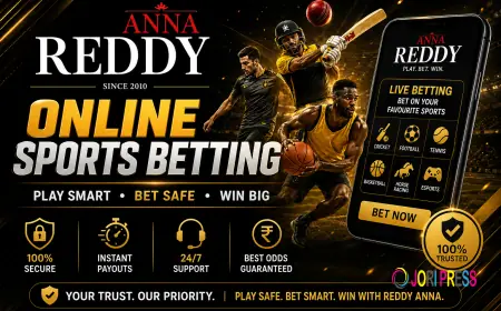 Enjoy Safe and Easy Online Sports Betting Online with Reddy Anna