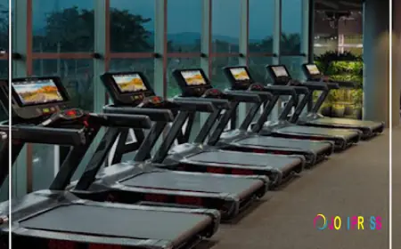 Elevate Wellness Club Strengthens Its Presence as the Best Gym in Panchkula