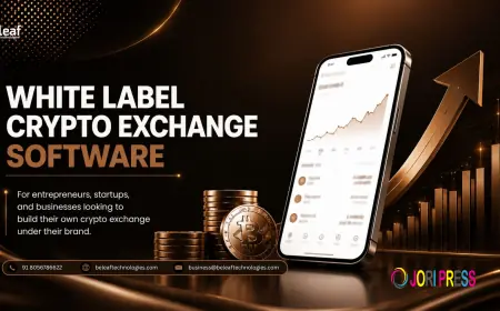 White Label Crypto Exchange Software: The Technology Choice That Shapes Crypto Exchange Success