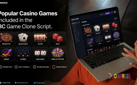 Popular Casino Games Included in the BC Game Clone Script