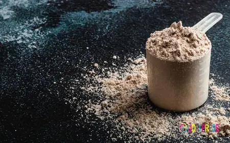 Whey Protein Market Barriers Shaping Growth, Innovation, and Global Industry Development Strategies
