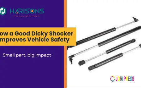 Why Choosing the Right Dicky Shocker Improves Vehicle Performance and Convenience