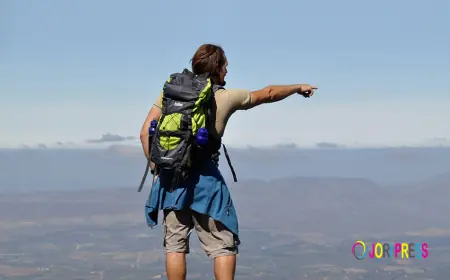 Elgin Hiking: Discover Scenic Trails Around Bot River and the Overberg