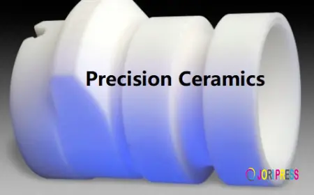 ZFCERA Ceramic Injection Molded Parts for Precision Components