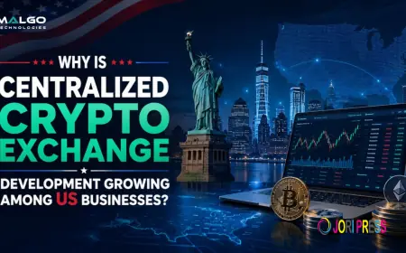 Why Is Centralized Crypto Exchange Development Growing Among US Businesses?