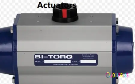 WisleyPneumatic Fork Type Pneumatic Valve Performance Solutions