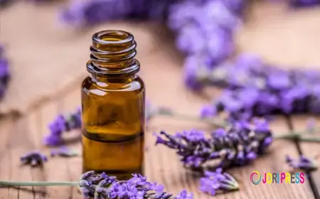 Trusted Lavender Oil Manufacturers