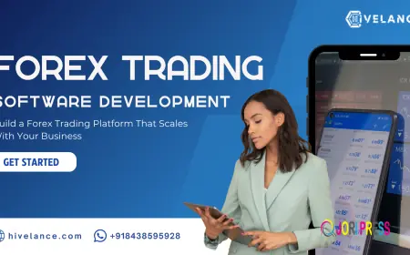 Forex Trading Software Development: A Complete Guide for Operators and Trading Businesses