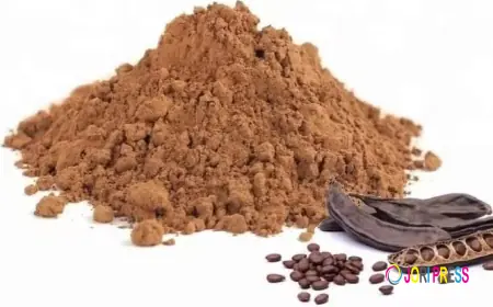 Carob Powder Market Innovations Transforming Food Manufacturing Through Sustainable and Advanced Ingredient Solutions