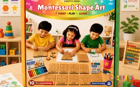 Montessori Geometric Shape Puzzle Kit: A Complete Guide for Parents