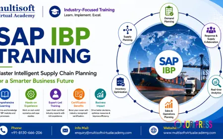SAP IBP Training: Master Intelligent Supply Chain Planning for a Smarter Business Future
