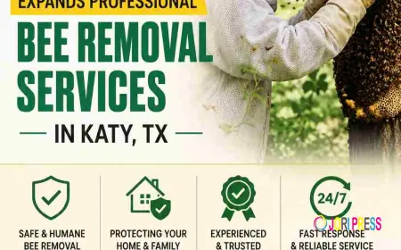 Raul The Bees Guy Expands Professional Bee Removal Services in Katy, TX