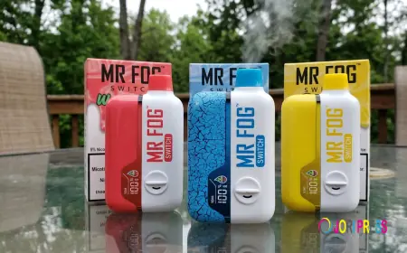 Mr Fog Switch – Complete 2026 Guide to Features, Pods & Performance