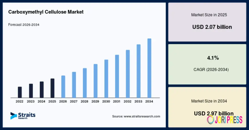 Carboxymethyl Cellulose Market Research Report with Competitive Landscape and Industry Insights