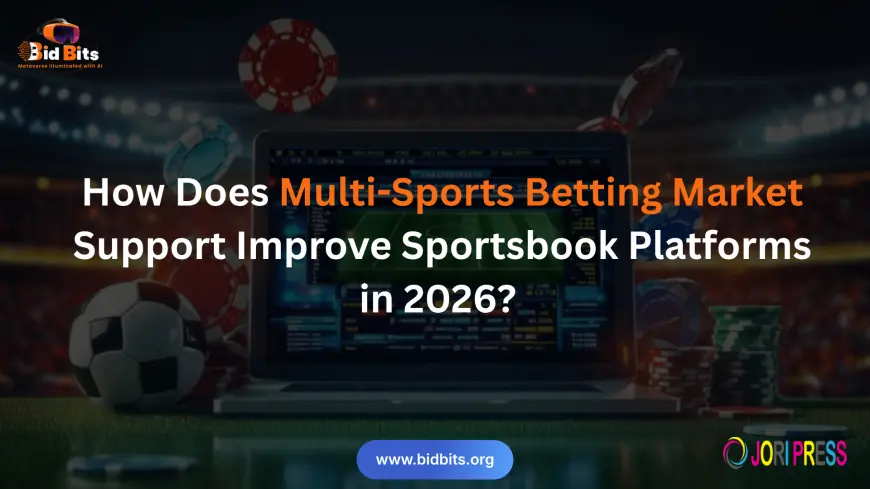 How Does Multi-Sports Betting Market Support Improve Sportsbook Platforms in 2026?