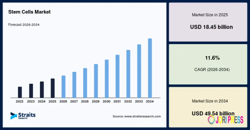 Stem Cells Market Size, Share & Forecast to 2034