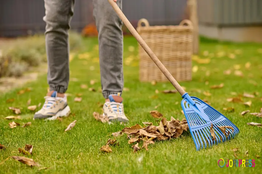 Trusted Waste Removal Services in Banff Now Easier with Vango Removal