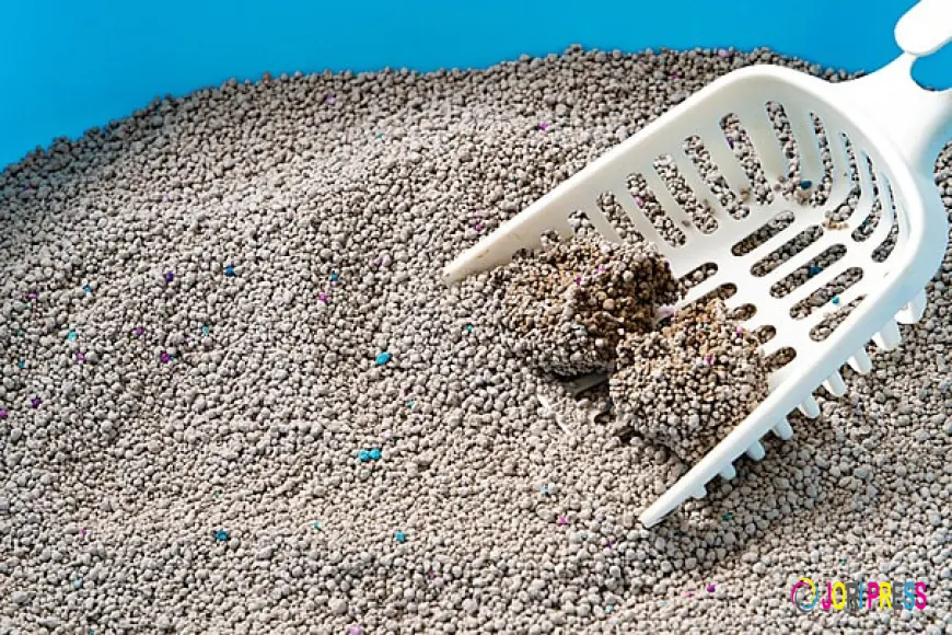 Cat Litter Market Top 5 Trends Shaping Innovation, Sustainability, and Consumer Preferences Worldwide