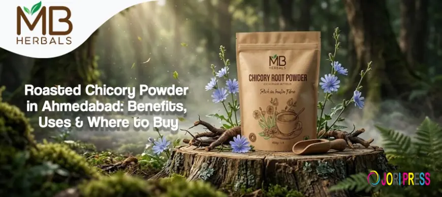 Roasted Chicory Powder in Ahmedabad: Benefits, Uses & Where to Buy