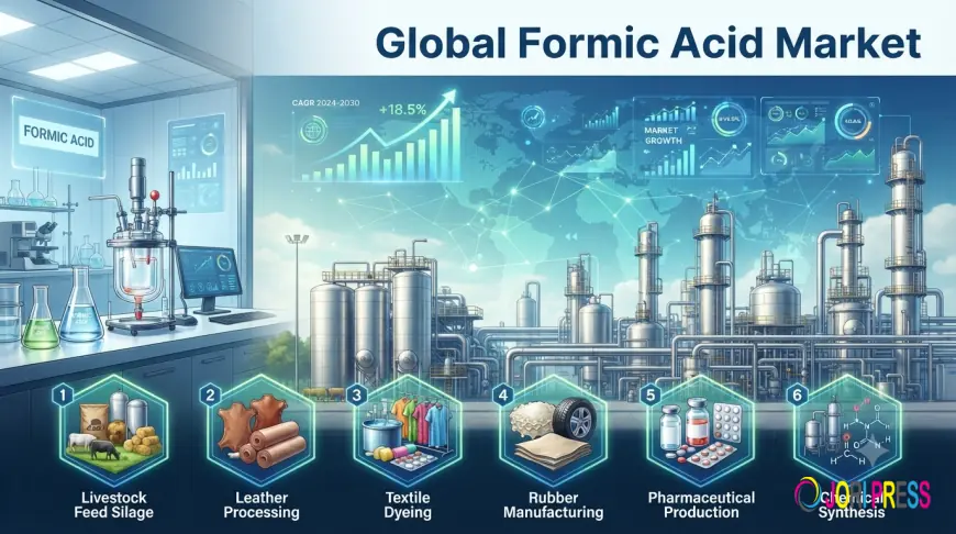 Formic Acid Market Size, Share & Growth Forecast 2025–2034