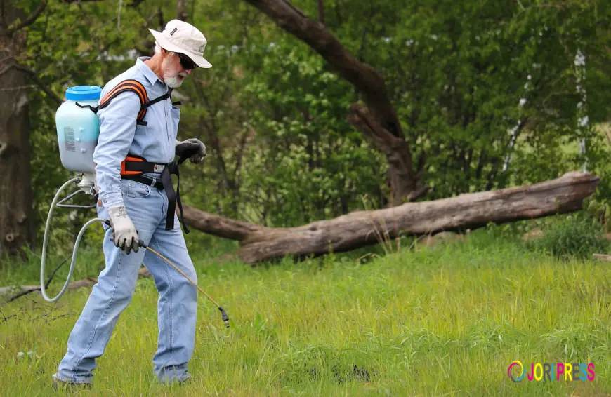 How to Choose the Right Weed Control Service in Vancouver