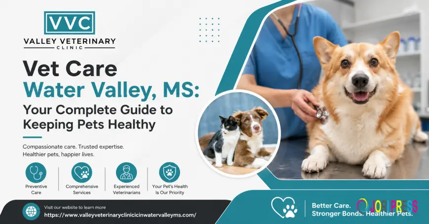 Vet Care Water Valley, MS: Your Complete Guide to Keeping Pets Healthy