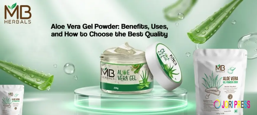 Aloe Vera Gel-Powder: Benefits, Uses, and How to Choose the Best Quality