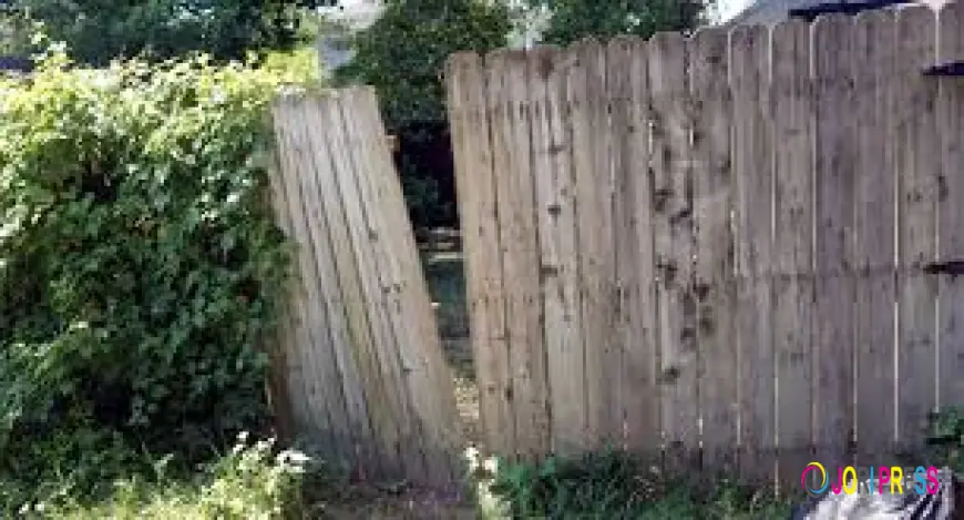 Protect Your Farm With Quality Agricultural Fencing Services in Oregon