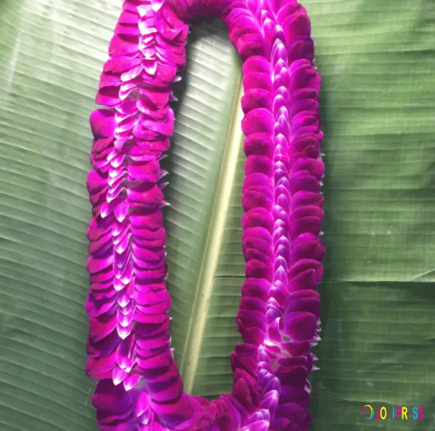 Hawaii Single Orchid Lei – Elegant Hawaiian Flower Leis by Lee Orchid