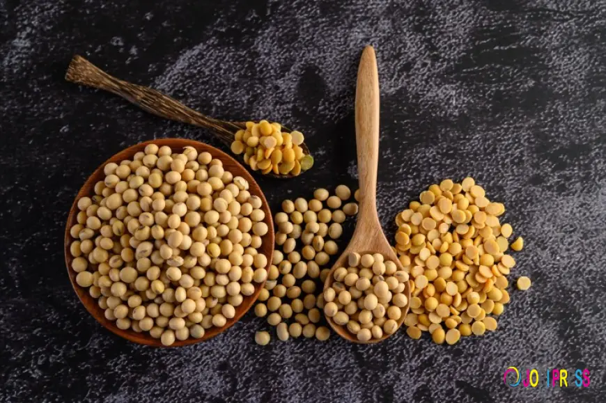 Top 10 Soyabeans Manufacturers in India for Bulk Supply