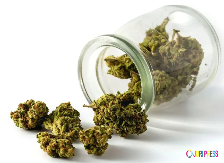 THC vs CBD: What's Actually Different and Which One You Need