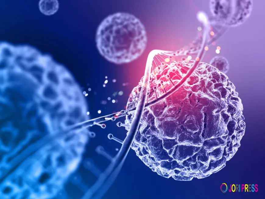 Stem Cell Therapy in India | Advanced Regenerative Medicine