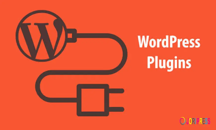 Beyond the Plugin Store: Why Your Business Needs a Custom WordPress Plugin