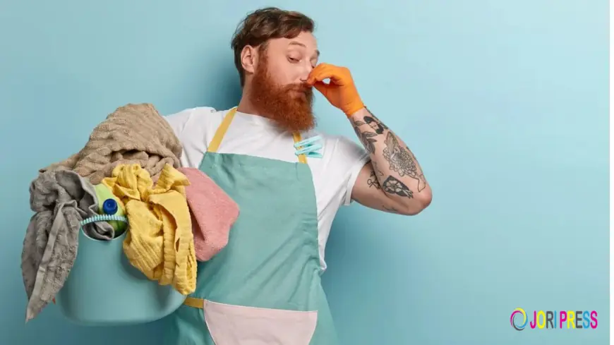 Wash & Fold Services Charleston SC – Let College Laundry Handle the Laundry