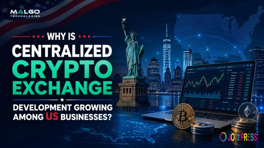 Why Is Centralized Crypto Exchange Development Growing Among US Businesses?