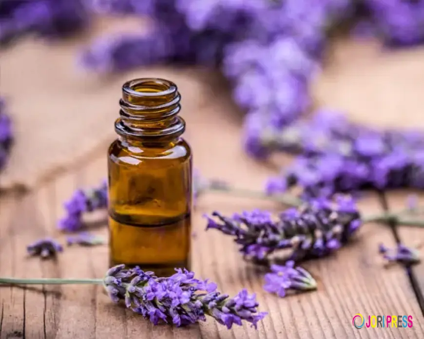 Trusted Lavender Oil Manufacturers