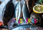How to Buy Calvisius Caviar, Online Seafood, Sea Urchin for Sale, Albacore Tuna and Tasmanian Ocean Trout