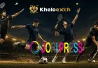 Why Kheloexch Is a Helpful Platform for Sports Enthusiasts
