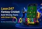Laser247 Fantasy Cricket: Build Winning Teams with Smart Picks