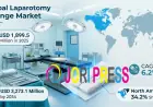 Laparotomy Sponge Market Size, Share & Growth Forecast 2034