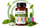 Healthy Probiotics From Meibotan Support Everyday Gut and Digestive Wellness