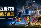 How Following Different Sports Can Make Every Fan More Knowledgeable