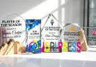 How to Choose Sports Trophies for a Club Awards Night