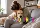 The Real Story Behind Emotional Support Animal Registration