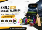 Kheloexch Cricket Platform: What Makes the Experience Interesting?