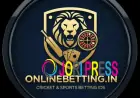 How to Choose a Reliable Online Cricket Platform for Match Updates
