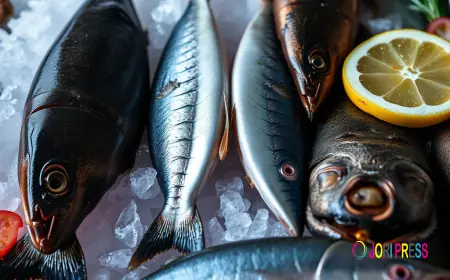 How to Buy Calvisius Caviar, Online Seafood, Sea Urchin for Sale, Albacore Tuna and Tasmanian Ocean Trout