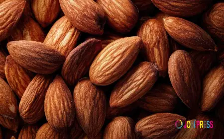 How to Choose a Reliable Almond Supplier in India for Quality and Bulk Orders