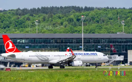 Turkish Airlines NYC Office: Contact Details & Travel Assistance