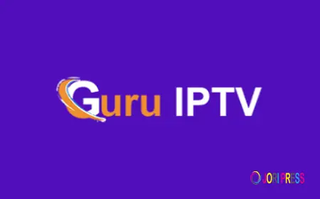 IPTV in USA for Hindi Channels: How to Choose the Best Indian TV Service